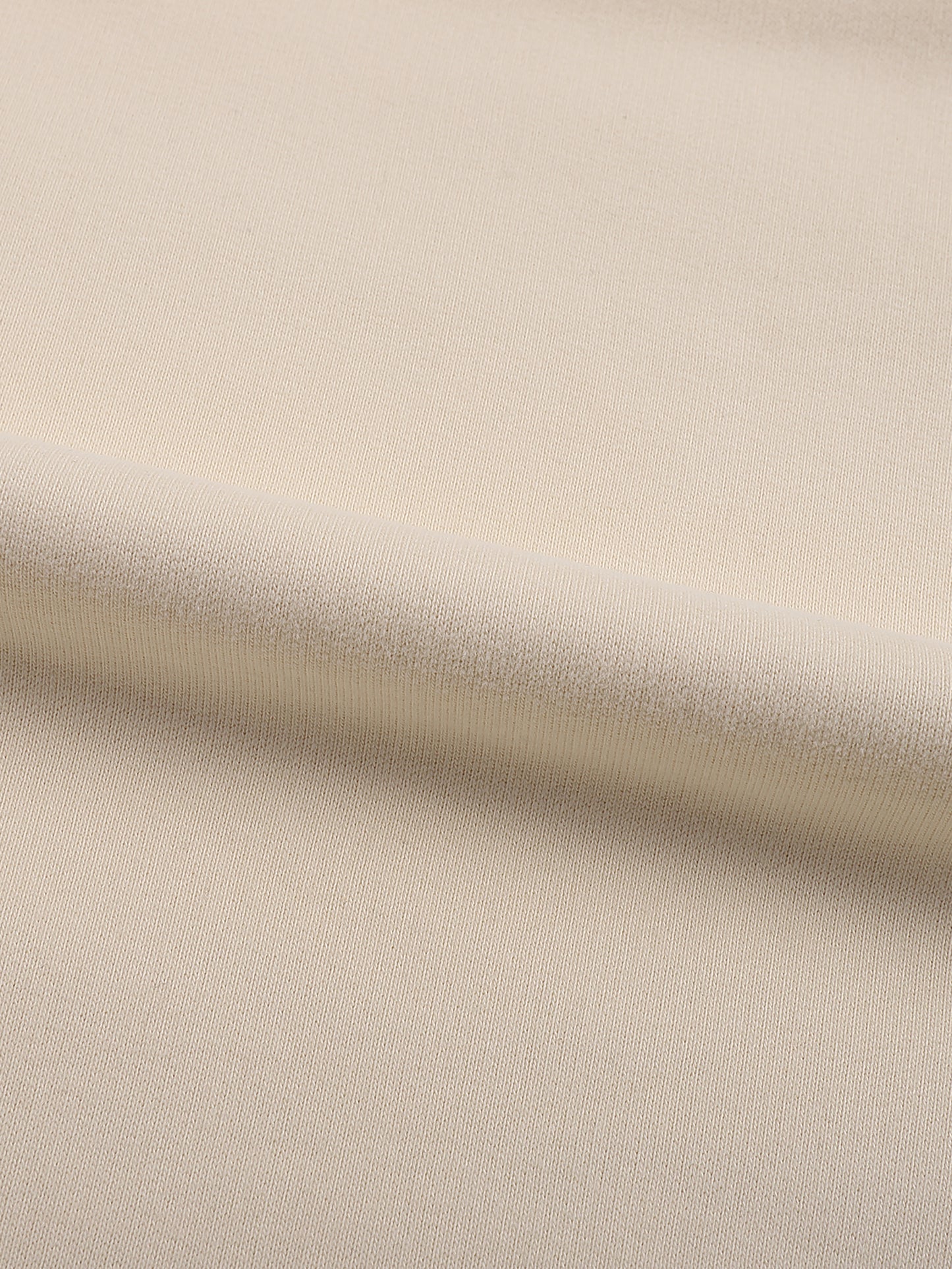 Plain Fleeced High Neck Hoodie